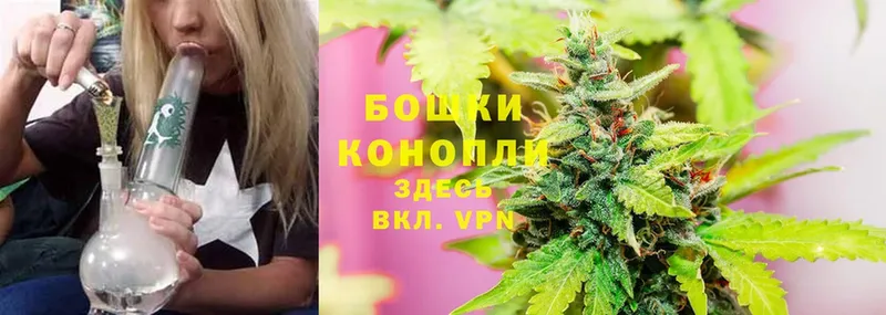 Бошки марихуана Bruce Banner  Верхоянск 